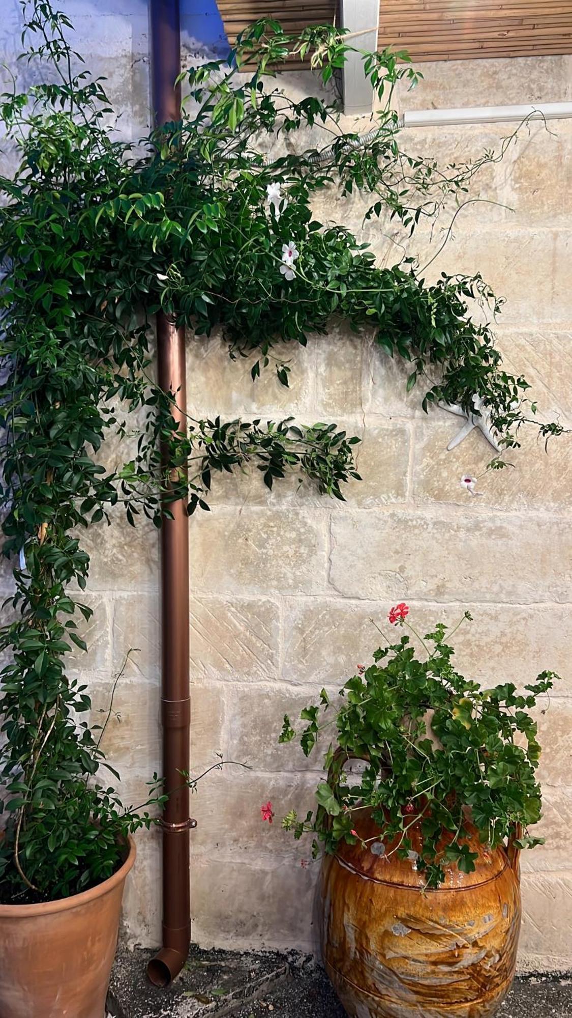 Suite Battisti 7 Lecce Exterior photo